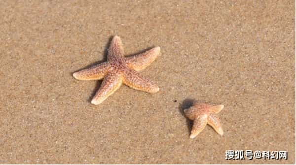 如何在命令行快速获取公网动态 IP 地址 如何在命令行快速获取公网动态 IP 地址