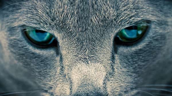 系统监控中心:一个理想的 Linux 任务管理器和资源监视器 系统监控中心:一个理想的 Linux 任务管理器和资源监视器