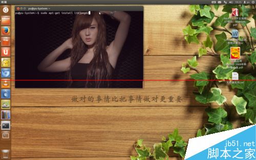 ubuntu12.04系统怎么安装PPS播放器? ubuntu12.04系统怎么安装PPS播放器?