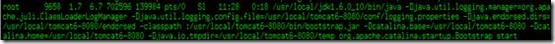 详解Linux查看程序端口占用情况