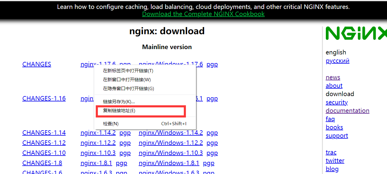 centos8 安装 nginx的详细教程(图文)
