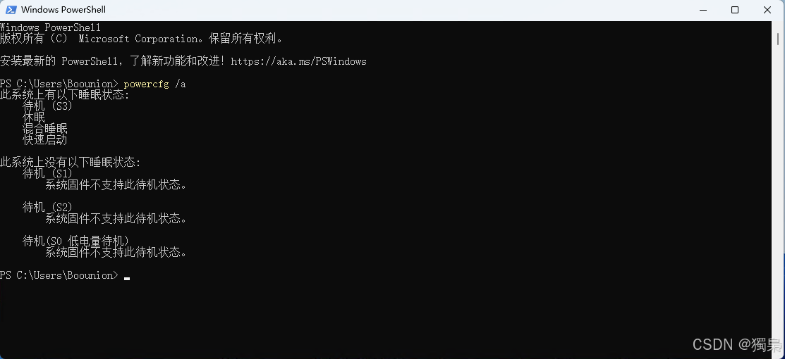 方法一：使用 PowerShell 命令（推荐）_图2