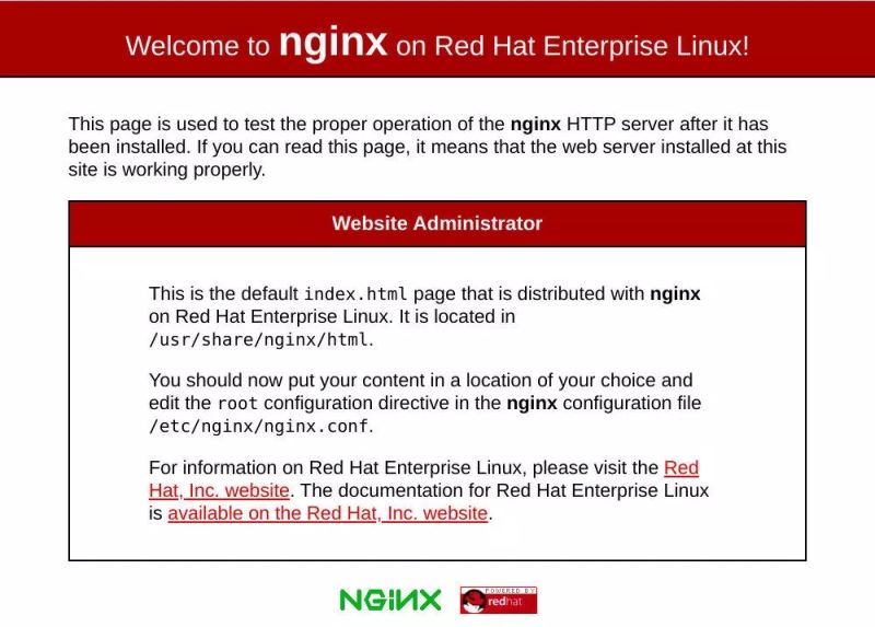 centos8 安装 nginx的详细教程(图文)