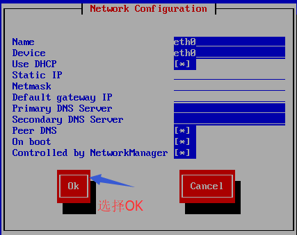 CentOS-NAT模式下(DHCP)联网成功案例 CentOS-NAT模式下(DHCP)联网成功案例