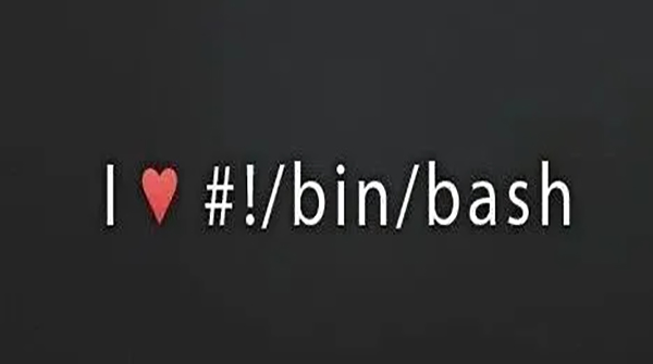 Linux Shell 正则表达式