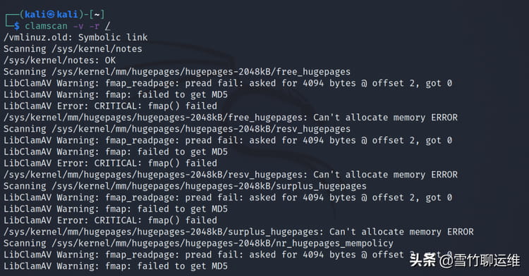 扫描 Linux 服务器是否存在恶意软件和安全漏洞的十种优秀工具