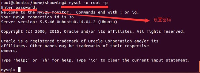 Ubuntu 14.04下安装MySQL